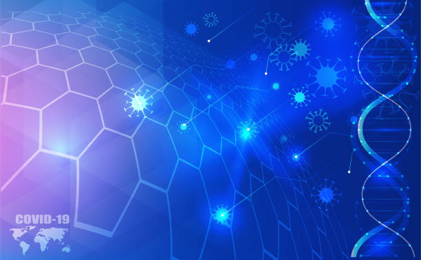 coronavirus france - cdc immunization schedule hep b